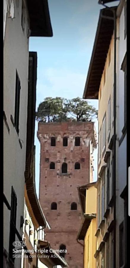 Wanda'S Apartment Lucca Exterior photo